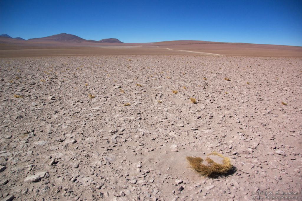 High and Dry