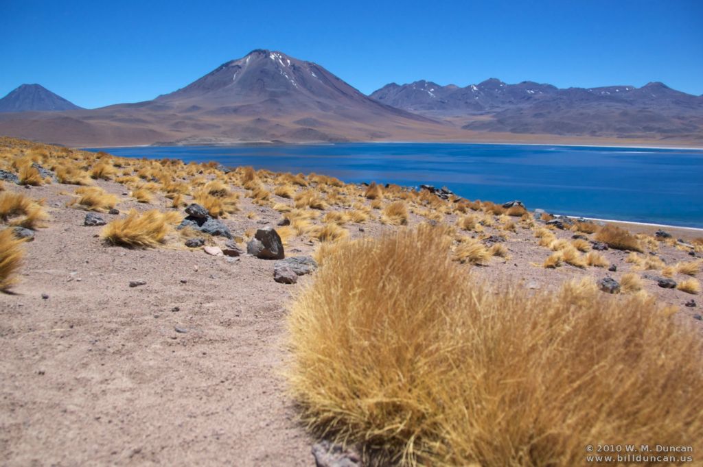 Laguna Miscanti (elev. 13,517 ft.)