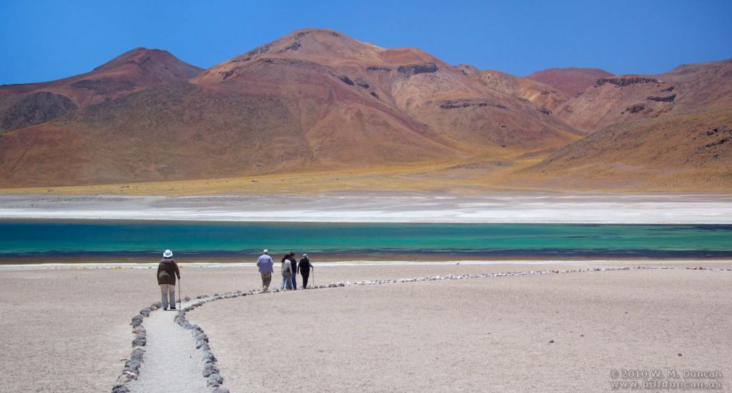 Laguna Miscanti