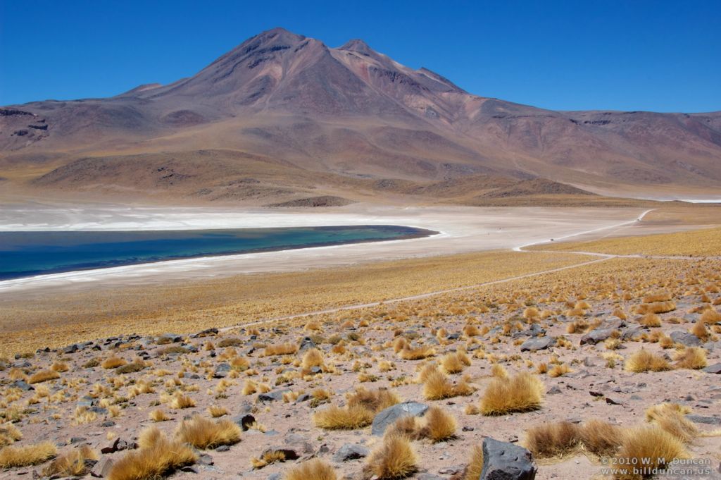 Laguna Miscanti