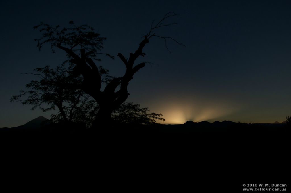 Sunrise in the oasis.