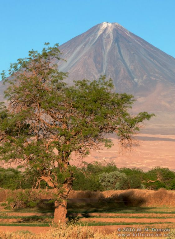 Licancabur Volcano (elev. 19,413 ft.) beyond the oasis (8.000 ft.)