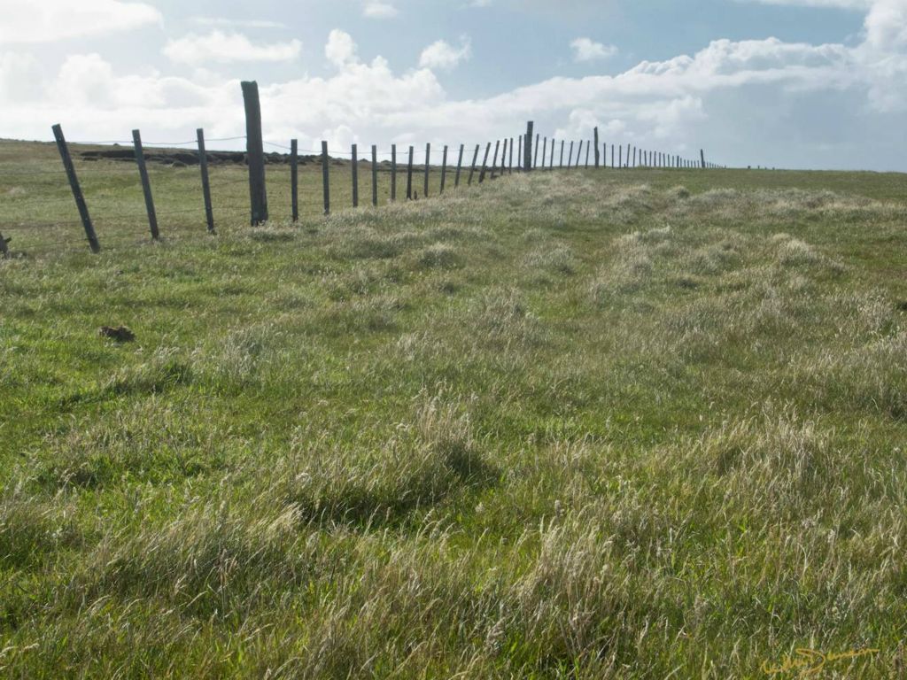 Crest of sheep meadows on Westpoint Island