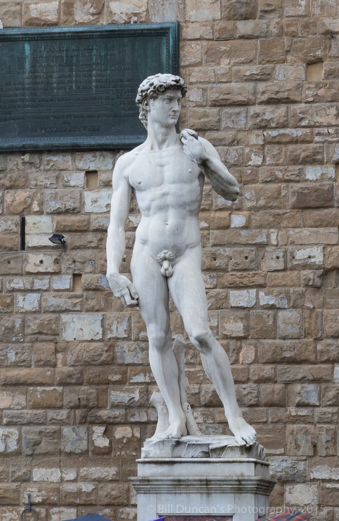 A fake David (Piazza della Senoria)