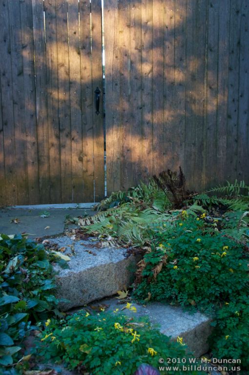 Garden Gate at Sunset