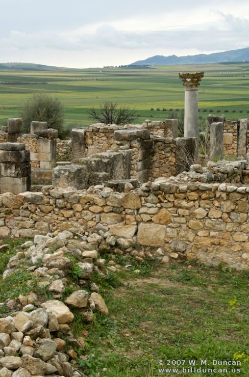 Volubilis - Roman ruins - a UNESCO World Heritage site