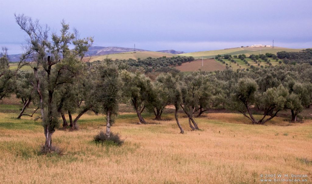 West of Fez