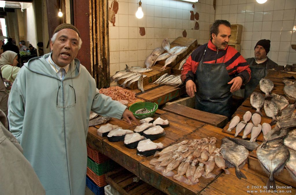 Fez medina - a lesson in marketing fish