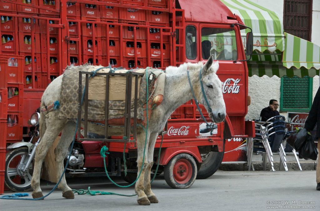 Shops inside narrow-laned medina are supplied by agile transport