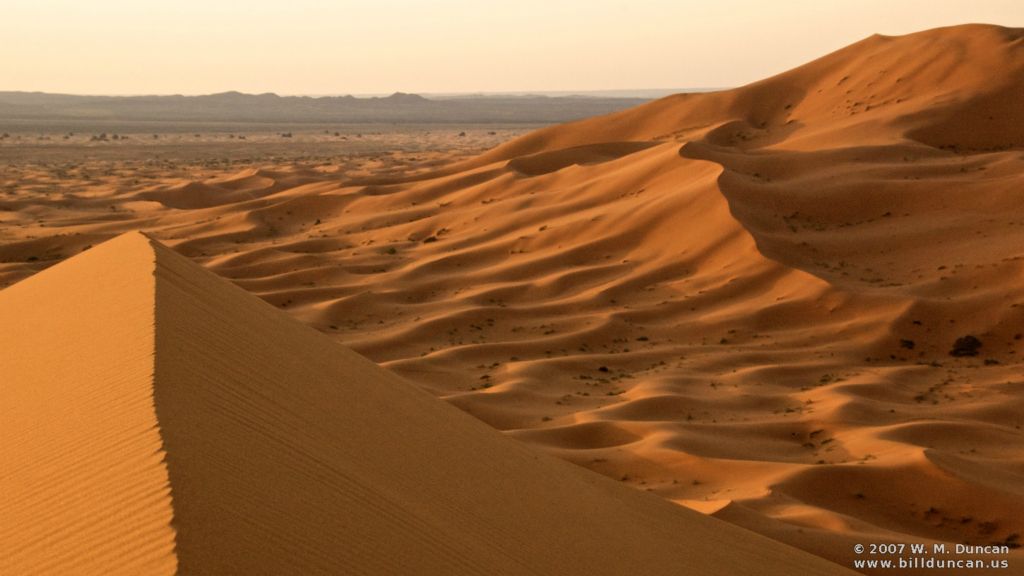 Dunes at dawn near the Algerian border