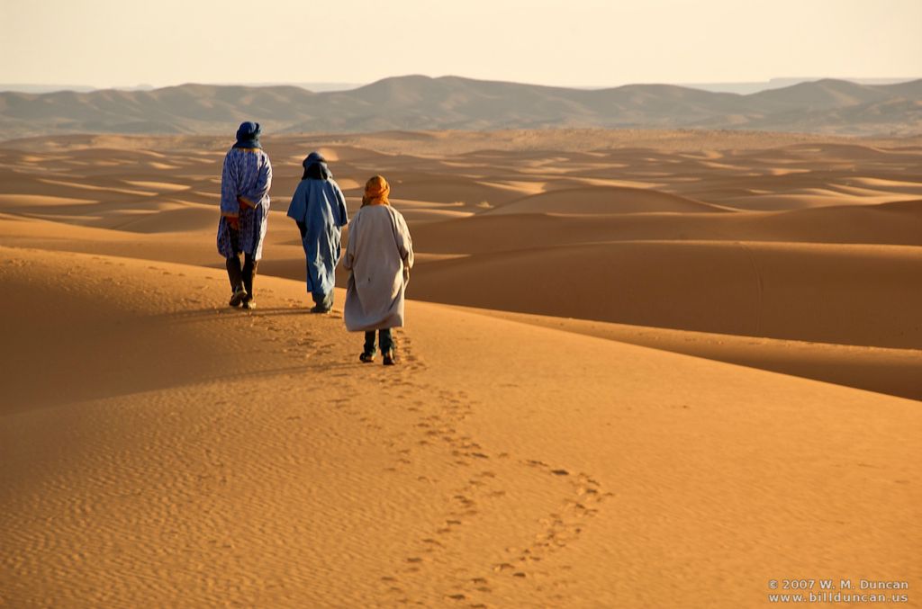 Morning Stroll on Dune