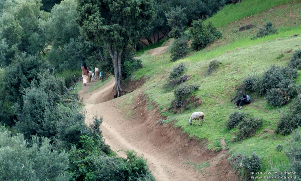 Staying Behind in High Atlas foothills