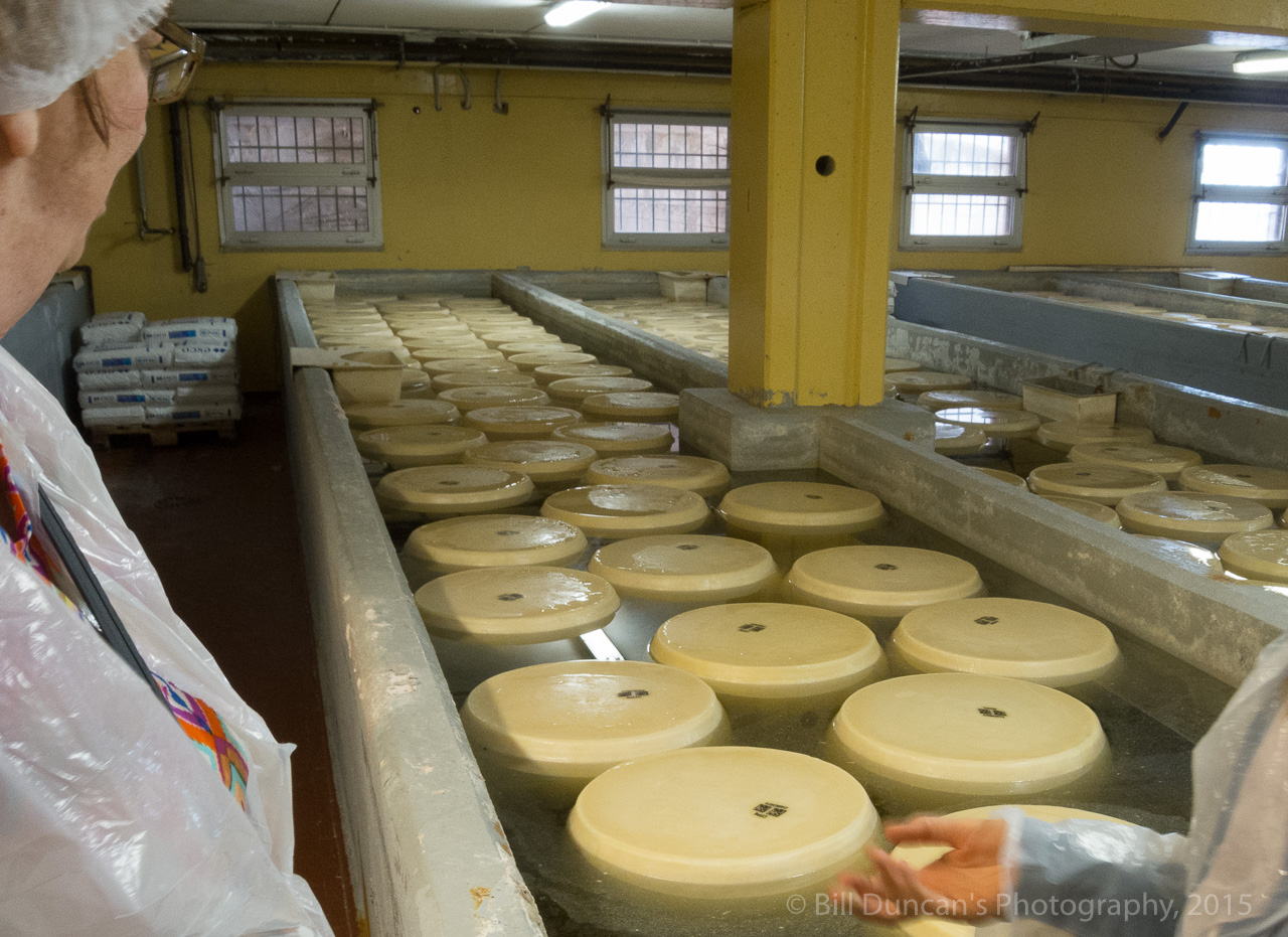 The wheels are floated in brine to absorb salt.