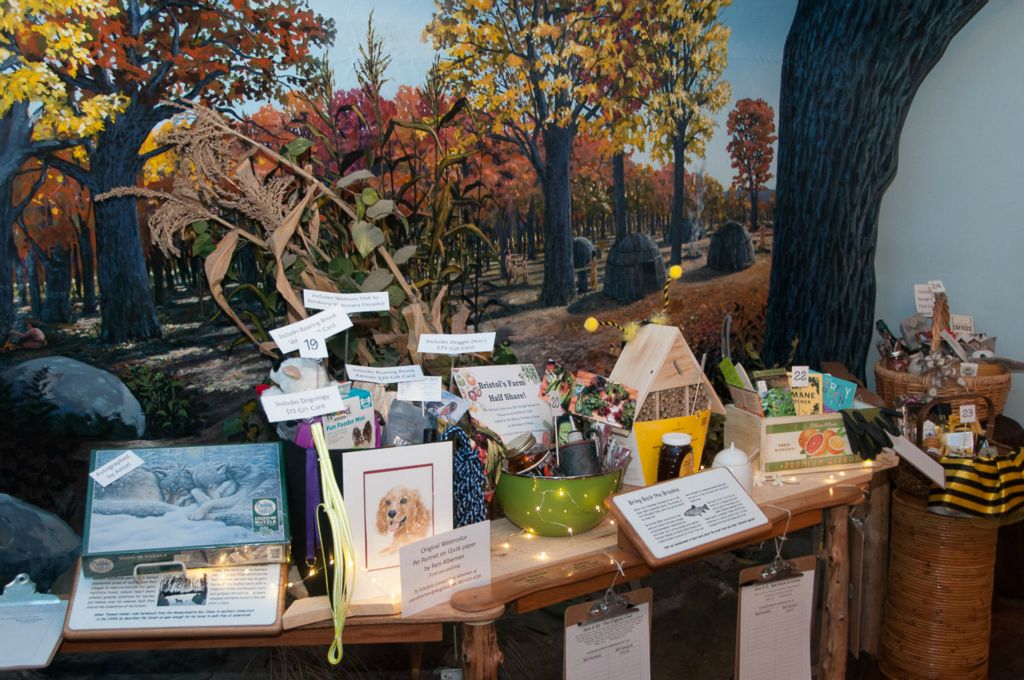 Silent auction items elaborately displayed.