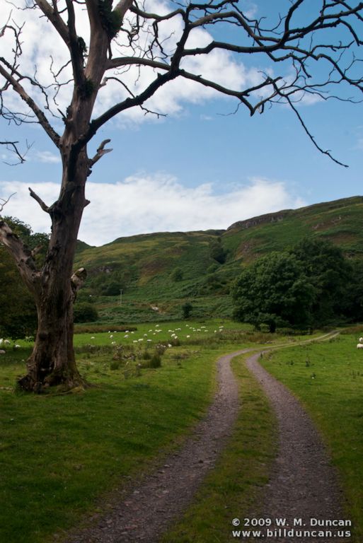 Glen Fiochan