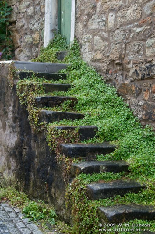 Backstairs in Culross