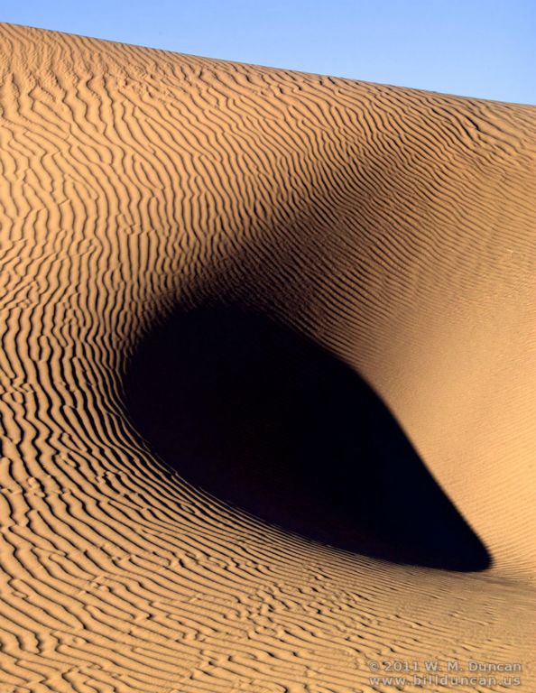 Sahara