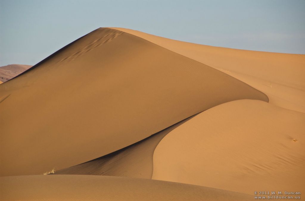 Sahara
