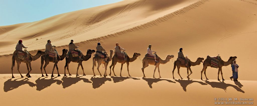 Sahara