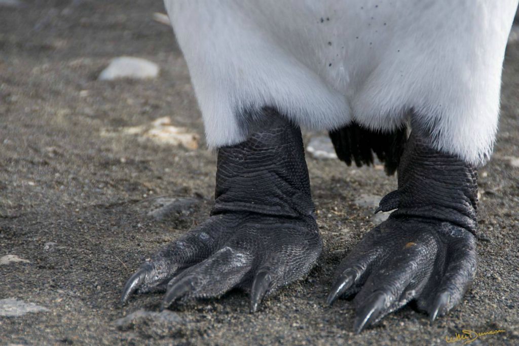 Happy feet.
