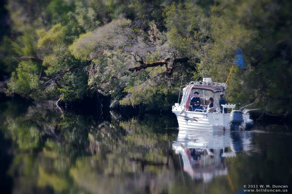 In the Gordon River