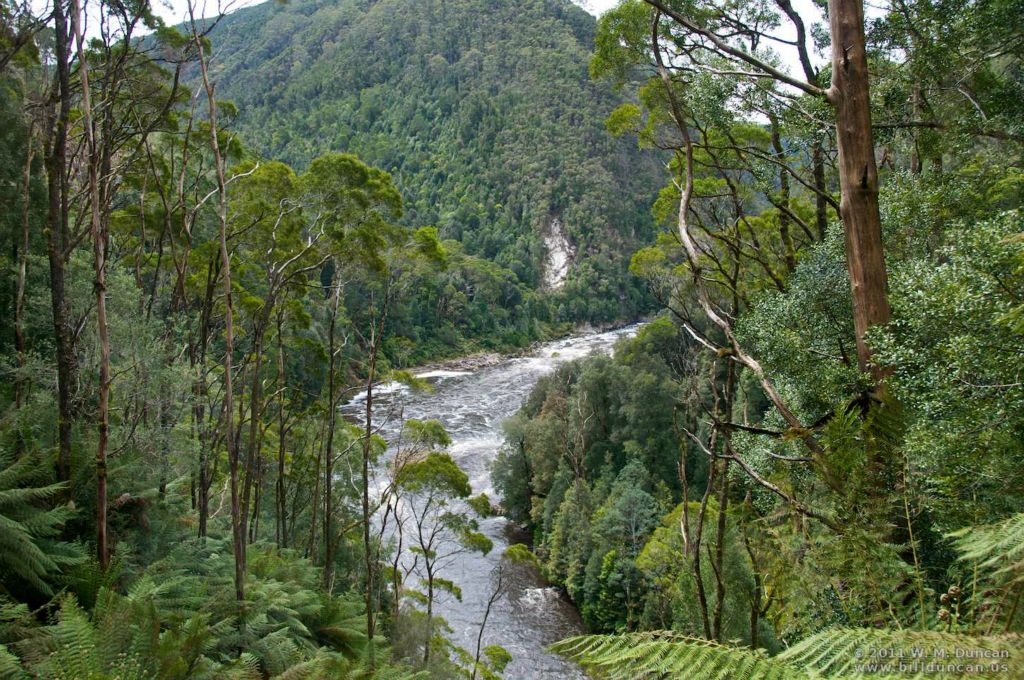Last look at the King River