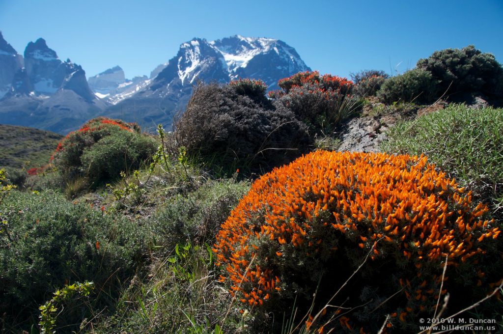 Near Lago Sarmiento