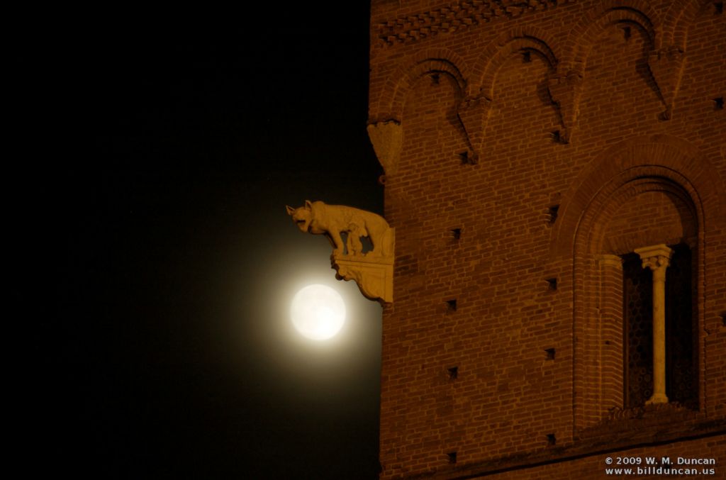Gargoyle's Moment - Siena