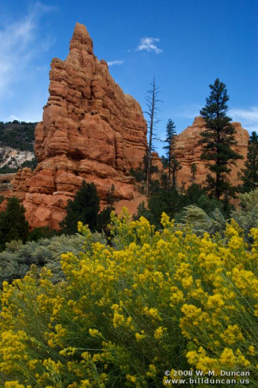 Red Canyon, Utah