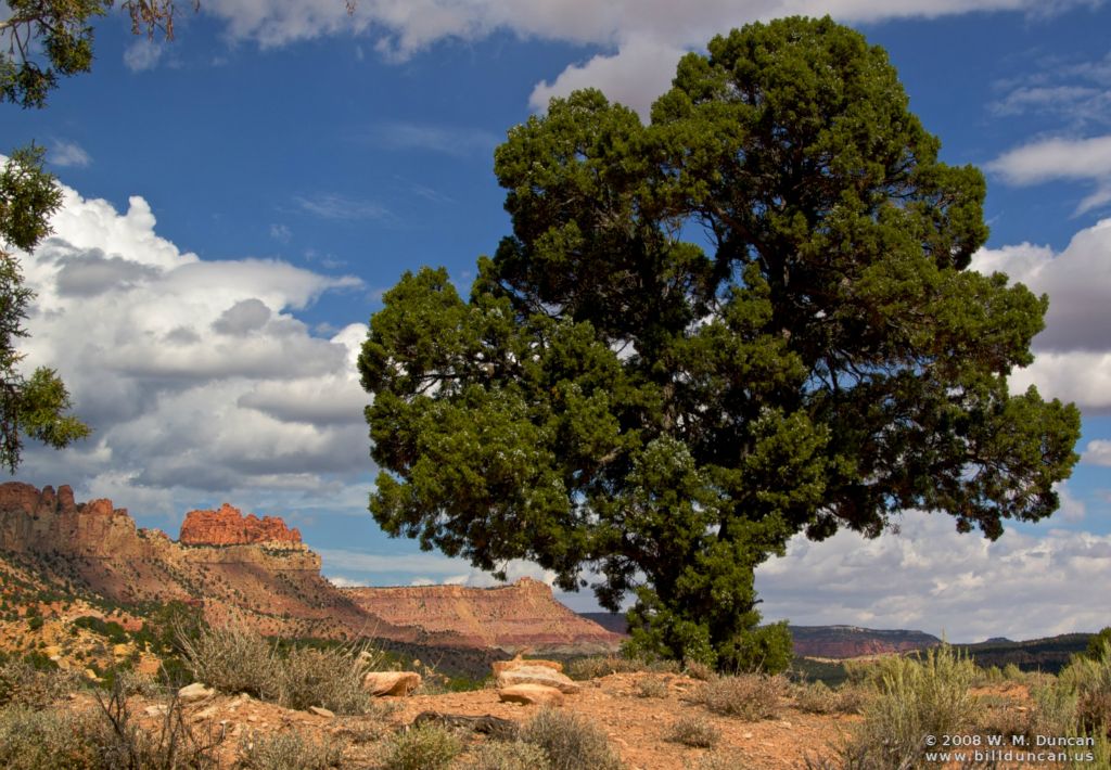 The Burr Trail, Utah