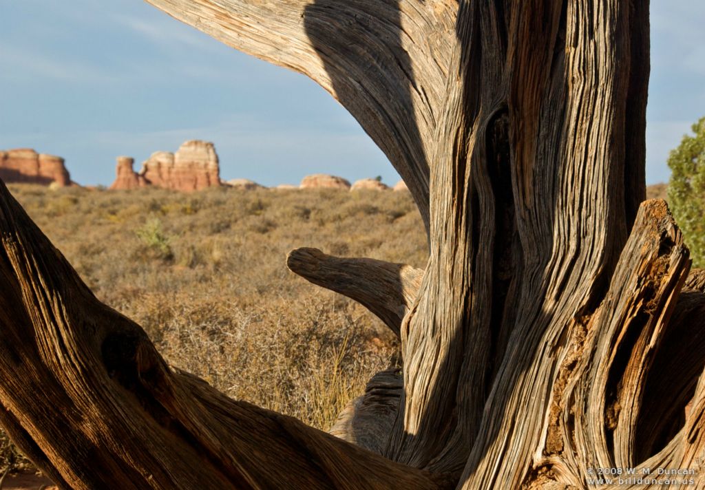 Arches National Park